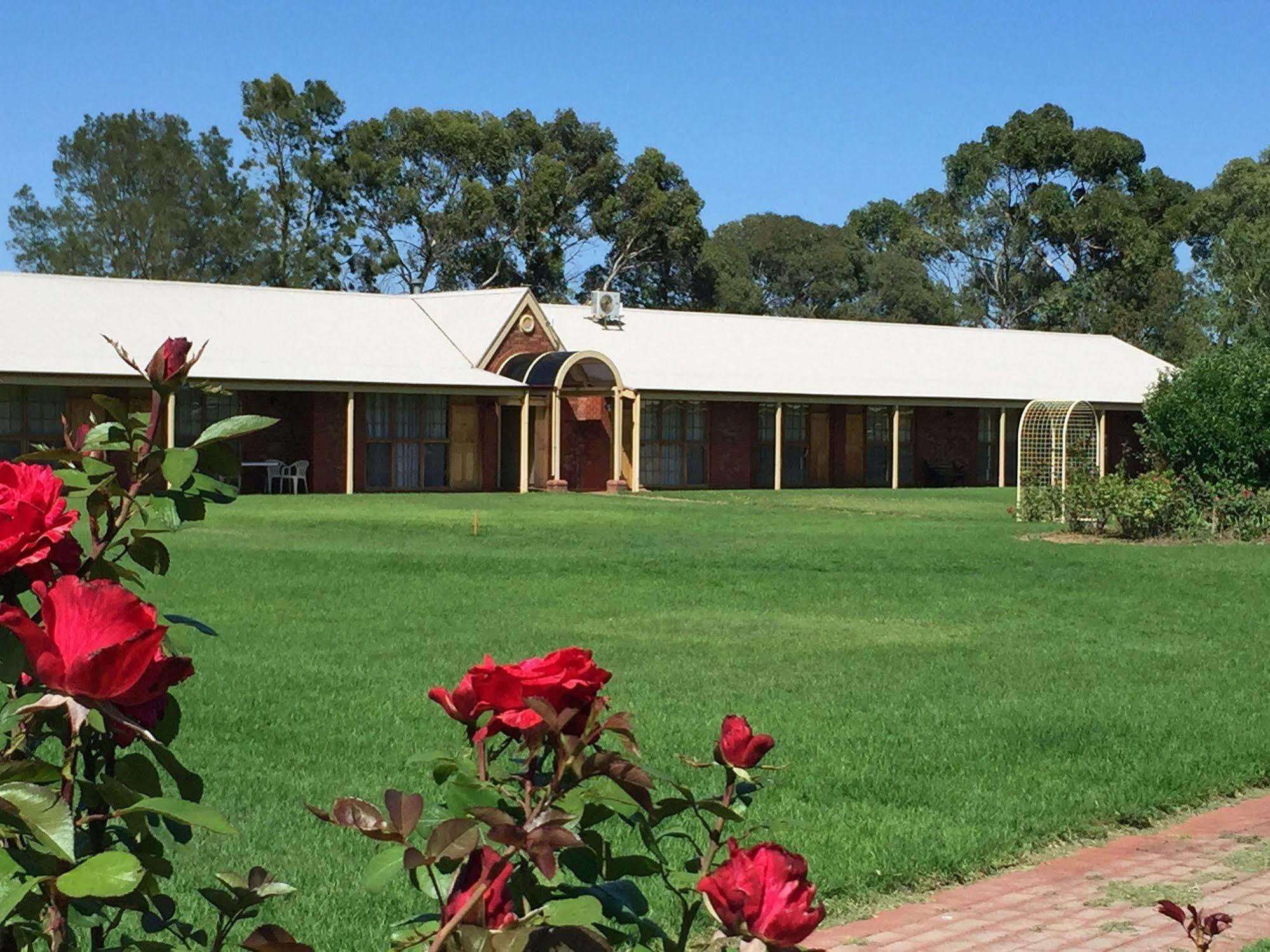 Coonawarra Place Motor Inn Экстерьер фото