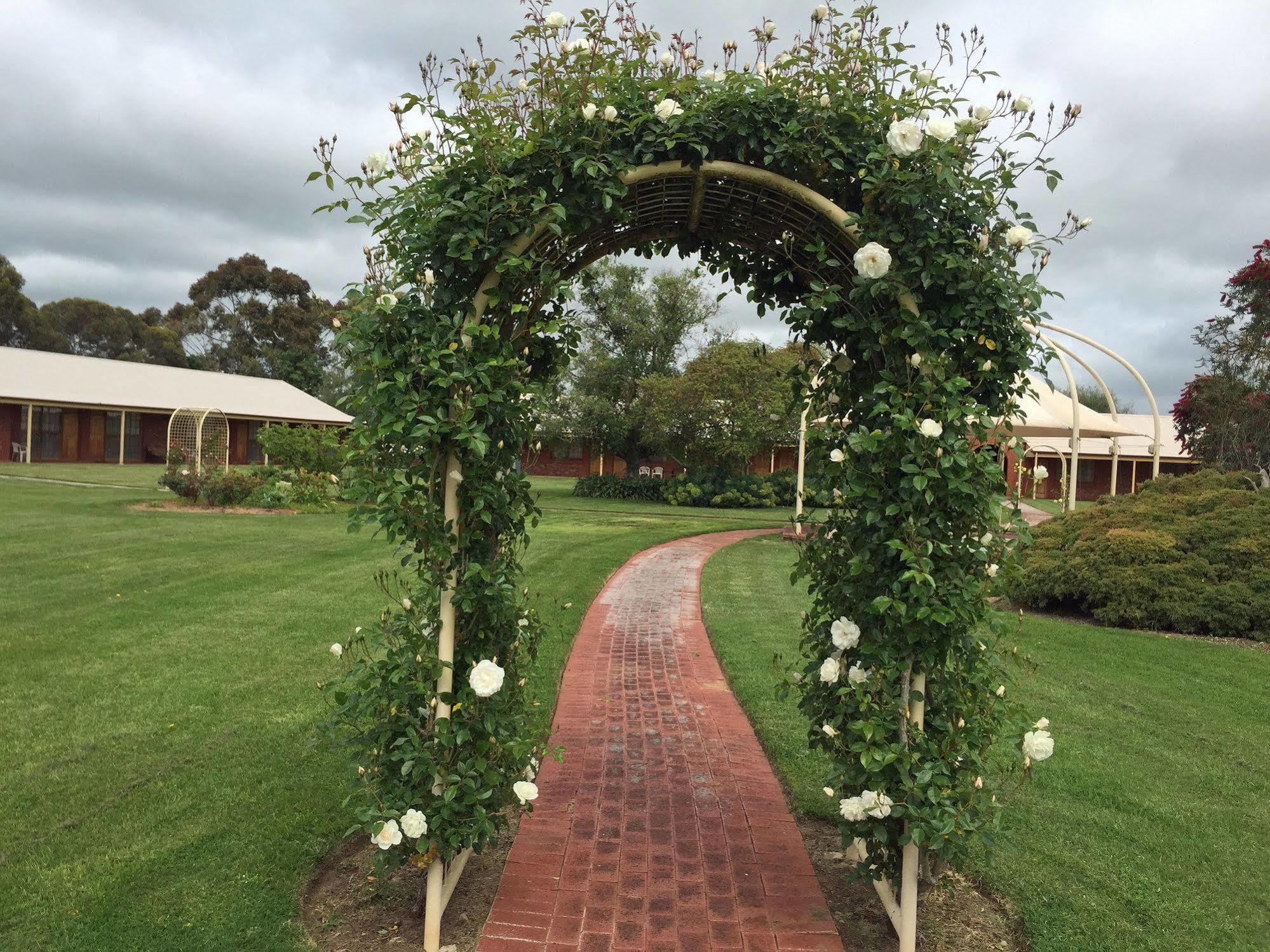 Coonawarra Place Motor Inn Экстерьер фото